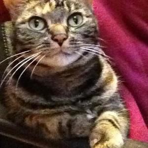 Meet your Posher, Raquel